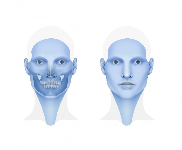 Ilustracion de ejemplo para CIrug&iacute;a Ortogn&aacute;tica